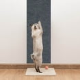 thumbnail image 4 of Birdeem Self-Adhesive Cat Scratching Board with Removable Base - 12/24/39 Inch Furniture Protector, Heavy-Duty 100% Polyester Climbing Wall Sticker for Sofa & Wall Protection, 4 of 6