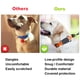 thumbnail image 2 of Funda de Silicona a Prueba de Polvo Soporte para Collar de Perro Anticaída para Samsung Galaxy SmartTag2, 2 of 9