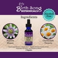 thumbnail image 4 of Birth Song Botanicals Solid and Serene Tincture Herbal Stress and Mood Support Passionflower 1 oz Bottle, 4 of 7