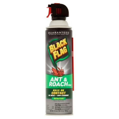 Black Flag Spring Fresh Ant & Roach Killer, (Best Natural Roach Killer)