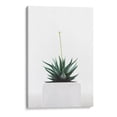 thumbnail image 1 of Cuadro decorativo Botánica - Plantita en canvas tamaño 45 x 30 cm Canvas Lab Canvas forma horizontal tamaño 45 x 30, 1 of 2