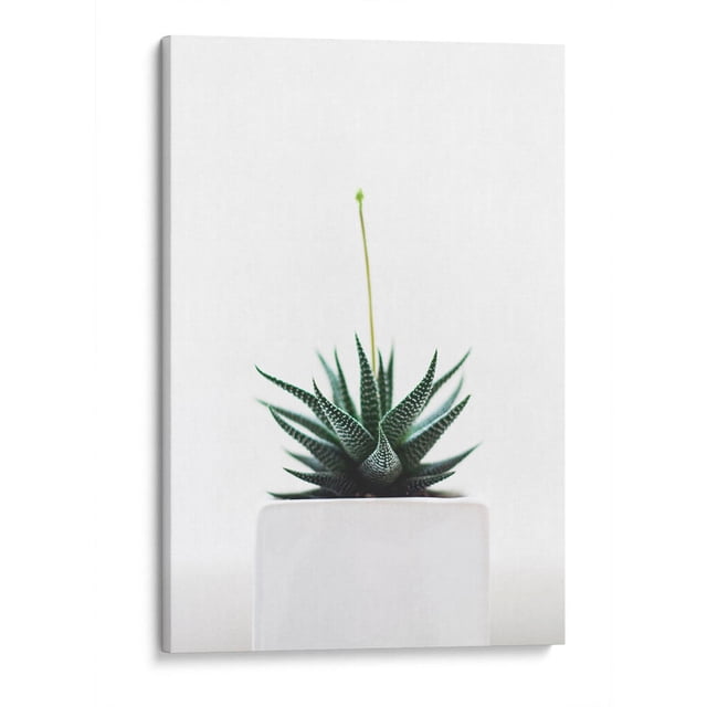 Cuadro decorativo Botánica - Plantita en canvas tamaño 45 x 30 cm Canvas Lab Canvas forma horizontal tamaño 45 x 30