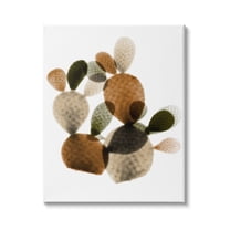 Stupell Industries Prickly Pear Cactus Plants Layered Green Brown Succulents, 24 x 30,Design by Albert Koetsier