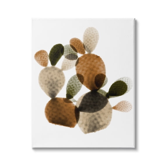 Stupell Industries Prickly Pear Cactus Plants Layered Green Brown Succulents, 30 x 40,Design by Albert Koetsier