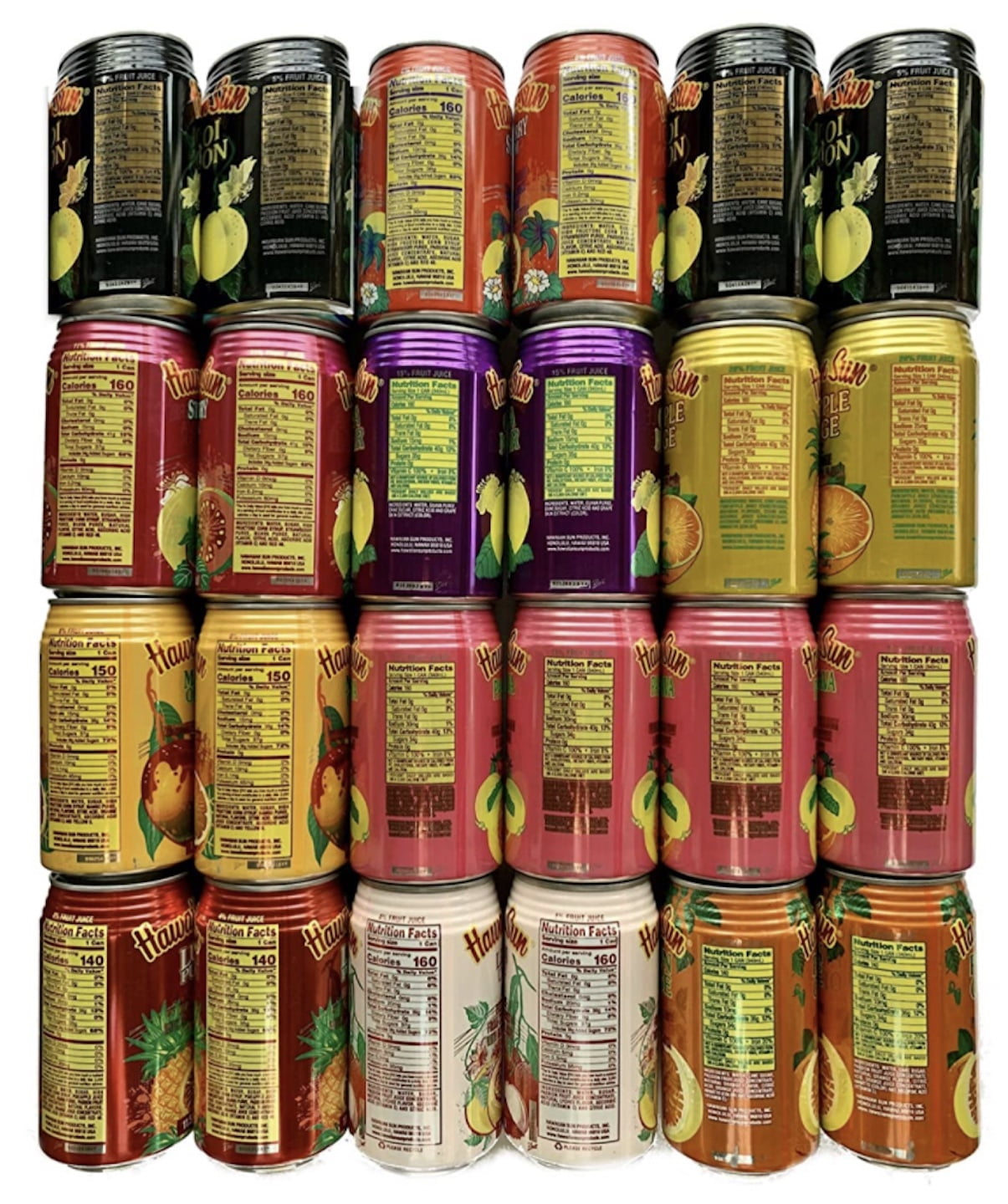 Hawaiian Sun Premium Tropical Juice Drink Party Bundle of 10 Assorted Flavors (24 Cans Total)