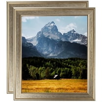 ArtToFrames 6" x 8" Silver Panel Picture Frame, 6x8 inch Multi Wood Poster Frame (WOM-5094), 2 Pack