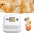 thumbnail image 4 of 36 Eggs Hatching Incubator, Digital Eggs Incubators Low Noise 40W Uniform Temperature  for Home, 4 of 8
