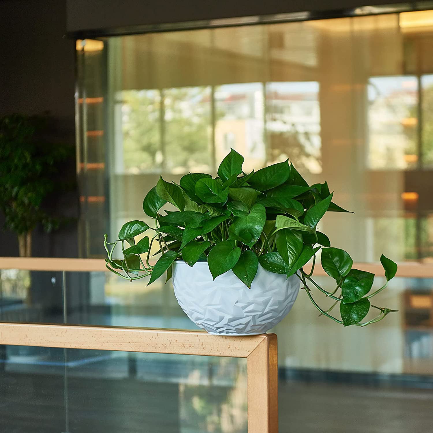 Indoor Outdoor Dual Pots Hanging Basket Planter Self Watering Flower Hanging Pot 