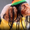 thumbnail image 5 of Sombrero de lana con rastas a la moda para mascotas de Halloween, bonito, novedad, decoración divertida, disfraz de fiesta, accesorios divertidos de ropa para gatos, gatitos pequeños Feliz Sencillez, 5 of 5