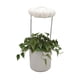 thumbnail image 2 of Lluvia de riego de plantas, dispositivos de riego de plantas de plástico, riego automático de plantas, hermoso regalo, divertido y único, 2 of 5