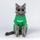 thumbnail image 3 of Dogs Sleeveless Sweaters Pet Cat Autumn Winter Warm Clothing Small Dog Green Vest Puppy Kitten Clothes Chihuahua Sweater ShopWise Round, 3 of 7