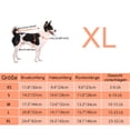 thumbnail image 2 of Queenmore Suéter para perro pequeño, ropa de punto para clima frío, cuello alto clásico, ropa gruesa y cálida para chihuahua, bulldog, perro salchicha, pug, yorkie (verde, pequeño), 2 of 5