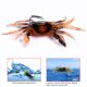 thumbnail image 1 of Señuelo de pesca falso de cangrejo de simulación suave de hundimiento de 10cm 30g con anzuelo (naranja) Ndcxsfigh Nuevos Originales, 1 of 9
