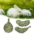thumbnail image 3 of Eisoary Pet Chew Toy Fruit Shape Natural Grass Relieve Boredom Rabbit Hamster Chinchilla Guinea Pig Squirrel Gerbil Teeth Cleaning Toy Pet Supplies Apple, 3 of 13