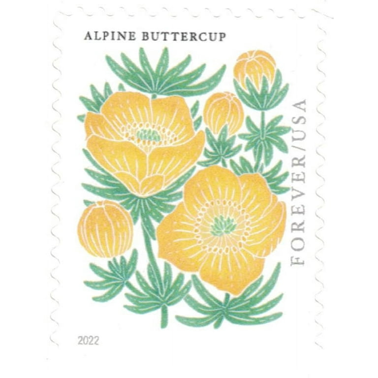 Mountain Flora Framed Stamps - Pasqueflower