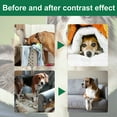 thumbnail image 4 of Inodorous Nontoxic Chewing Prevention Sprays Quick Acting Pet Training Aid for Indoor Outdoor Use, 4 of 11