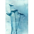 thumbnail image 2 of McCurdy, Krista 13x18 White Modern Wood Framed Museum Art Print Titled - Blue Anne, 2 of 4