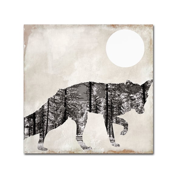 Trademark Fine Art "Going Wild VII" Canvas Art by Color Bakery