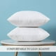 thumbnail image 2 of Set of 2 Throw Pillow Inserts Premium Pillow Stuffer Form Square for Decorative Cushion Bed Couch Sofa 18x18 Inch, 2 of 5