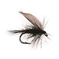 thumbnail image 1 of Superfly FLY1434-08P Mouche mouillée moucheron noir #08, 1 of 1
