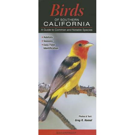 Birds Of Southern California Printable