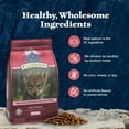 thumbnail image 6 of Blue Buffalo Wilderness High-Protein Natural Dry Food for Puppies, Salmon Recipe, 13-lb. Bag, 6 of 11
