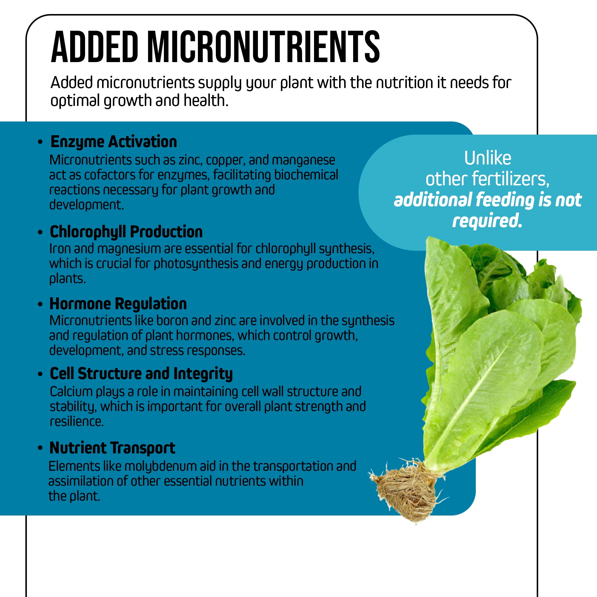 Jack's Nutrients 18-8-23 Outdoor Water-Soluble Fertilizer, 25lbs – Promotes Leaf Growth and Strong Roots
