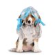 thumbnail image 4 of SHOWERORO Peluca De Disfraz Para Perros Y Colorida Accesorio Para Fiestas Y Divertida, 4 of 6