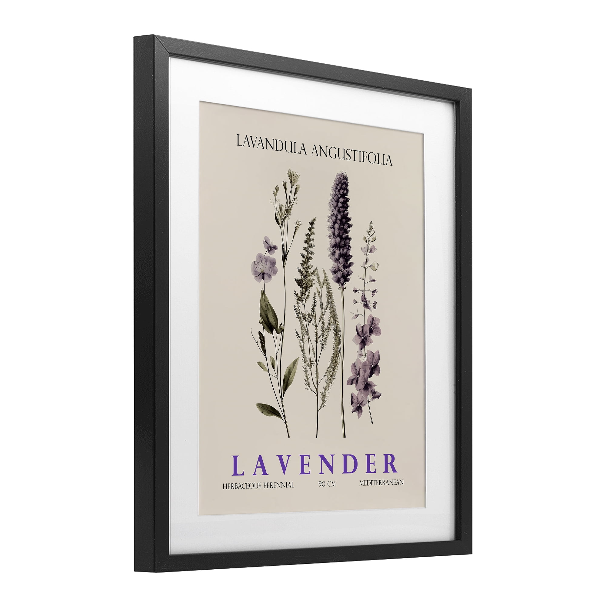 Stupell Industries Natural Lavender Bundle Black Framed Print Under Glass, design by Christopher Giampietro