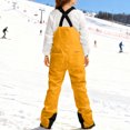thumbnail image 6 of Dvprdro Womens Snow Bib Overalls All-Weather Insulated Waterproof Windproof Winter Ski Pants Snowboard Jumpsuit with Adjustable Straps, 6 of 9