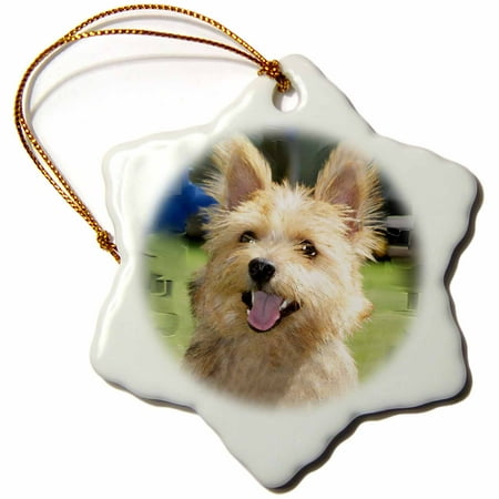 3dRose Norwich Terrier Portrait - Snowflake Ornament, 3-inch