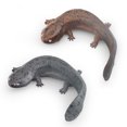 thumbnail image 1 of Set de figuras realistas de anfibios, salamandra y ajolote para niños, 1 of 2