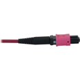 thumbnail image 4 of Tripp Lite N845X-01M-8L-MG Fiber Optic Duplex Trunk Network Cable, Magenta Jacket, Magenta Connector, Black Connector, Aqua Connector, 1 Piece, 4 of 5