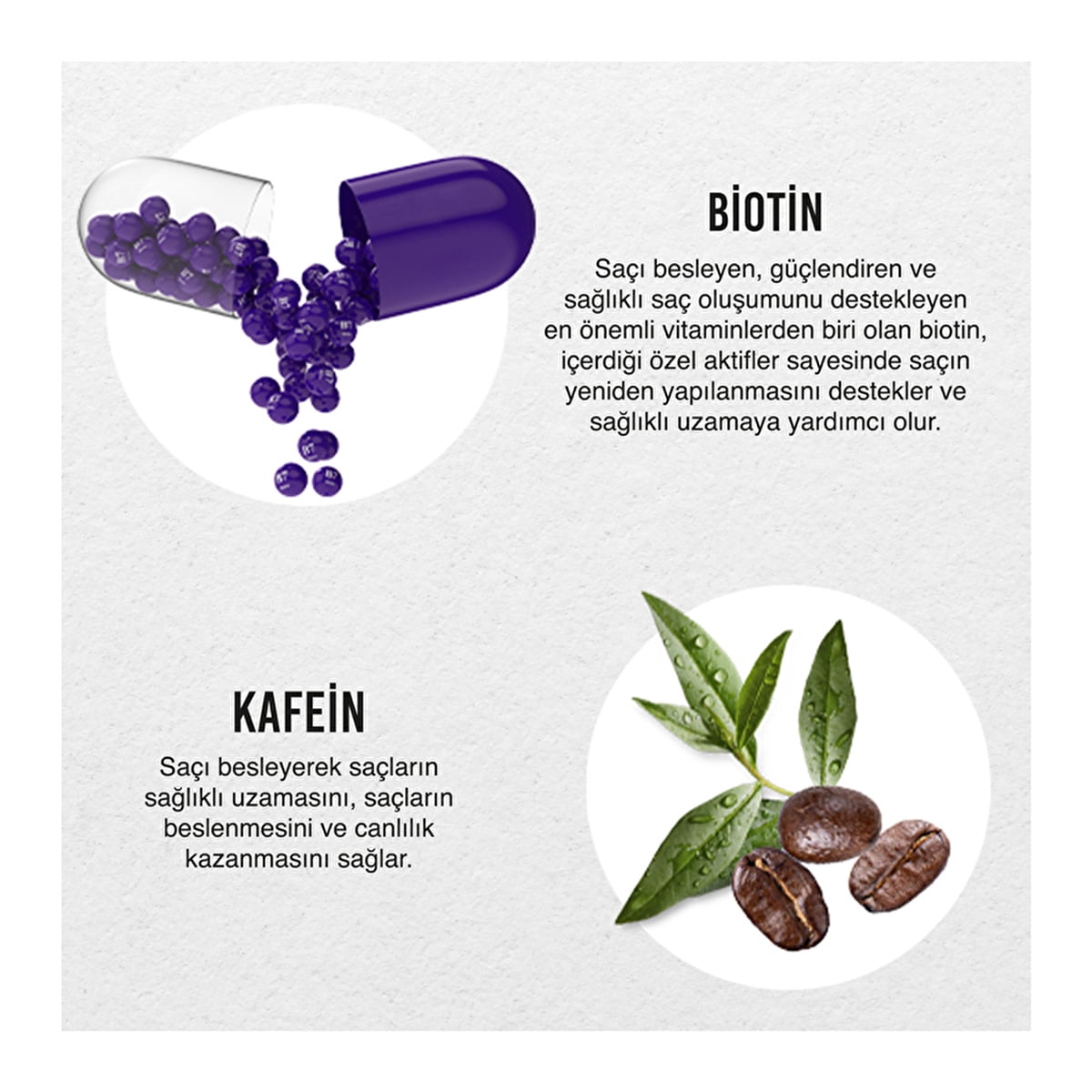 URBAN CARE EXPERT BIOTIN & CAFFEIN HAIR + SCALP SHAMPOO