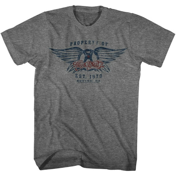 Aerosmith Est. 1970 Graphite Heather T-Shirt