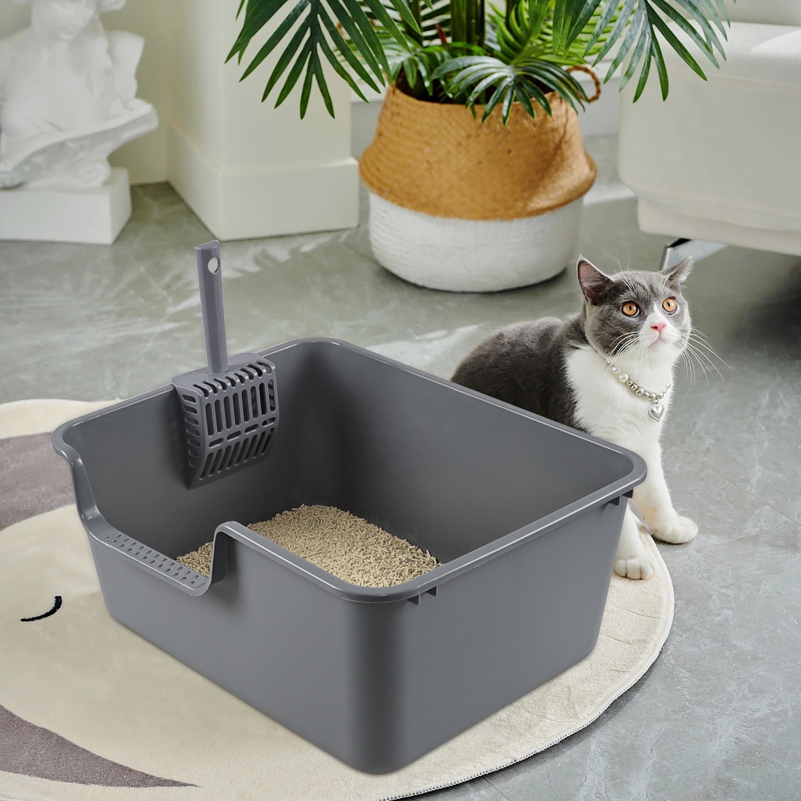 Obstnny 4-Pack Plastic Open Top Cat Litter Box, Litter Box with High Sides, Gray