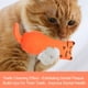 thumbnail image 4 of 3 uds juguete con hierba gatera gato de interior jugando masticar dientes limpieza juguete almohada, 4 of 5