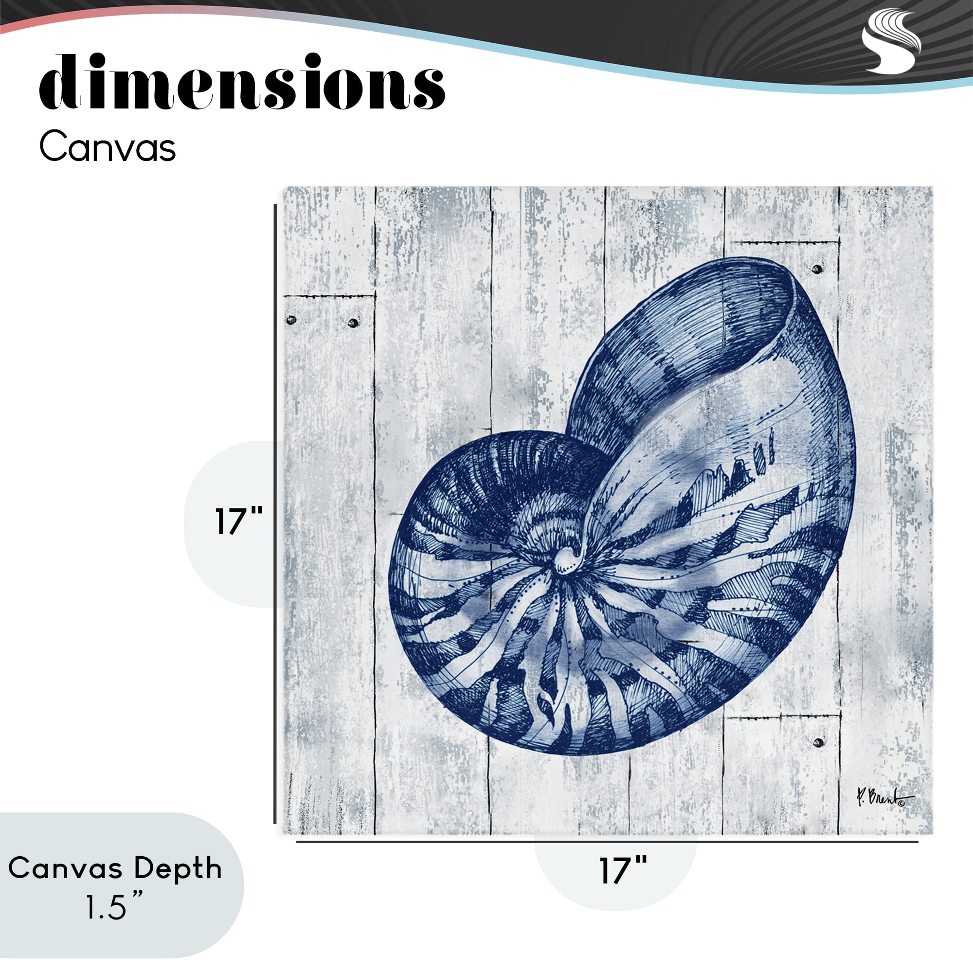 Stupell Industries Coastal Timberland Nautilus Canvas Wall Art, design by Paul Brent