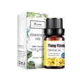thumbnail image 2 of Essence Oils For Candles Essential oils Natural Aromatherapy Oil 10ml Aroma Unilateral Oil(buy 2 get 10% off), 2 of 2