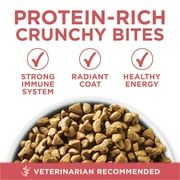 Purina ONE Plus, Indoor Advantage, Dry Cat Food, Salmon, 16 lb Bag