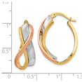 thumbnail image 3 of Leslie's Real 14kt Tri-color Polished and Brushed Fancy Hoop Earrings; for Adults and Teens; for Women and Men, 3 of 3