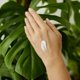 thumbnail image 3 of Crema de Manos Weleda Cítricos 50 ml Nutritiva e Hidratante, 3 of 3