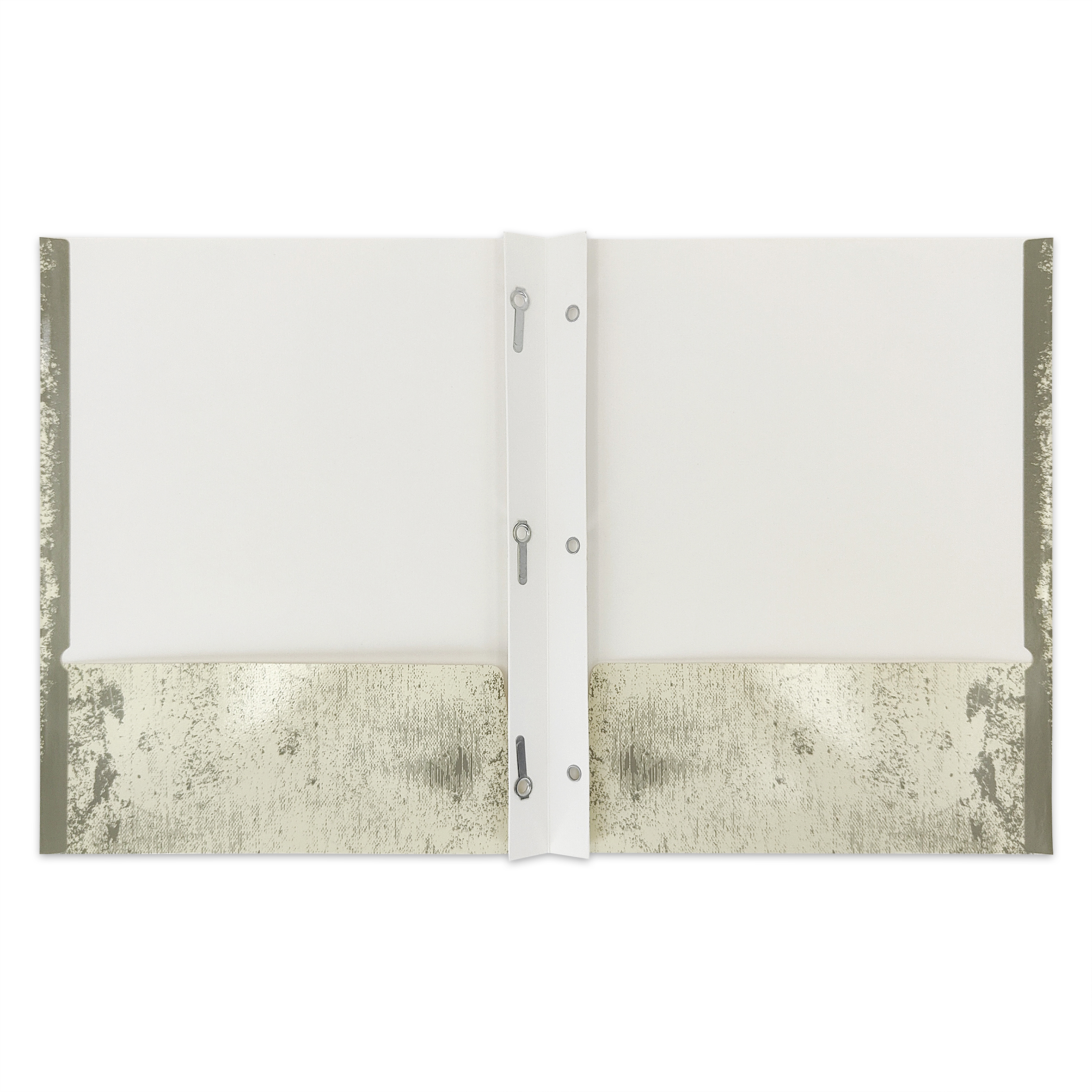 Carpeta de papel con 2 bolsillos y 3 pestañas Pen+Gear, lagartijas beige y negras 6