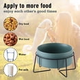 thumbnail image 5 of Elevated Cat Bowls for Indoor Cats - Food Bowl & Holder for Cats Dogs Raised Metal Wire Stand, 5 of 5