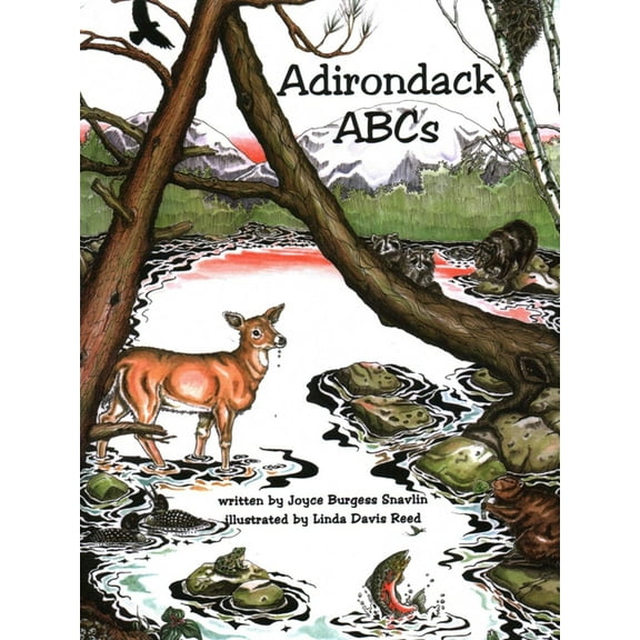 Adirondack ABCs, (Paperback)