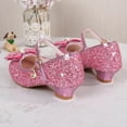 thumbnail image 3 of Girls Dress Shoes Toddler Low Heel Mary Jane Flower Wedding Party Pump Kids Bling Princess Shoes, 3 of 5