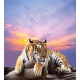 thumbnail image 3 of Savannah Duvet Cover Set, Tiger Lying on Wood Blue Sky Colorful Ombre Sunset Pose Stripes Claws, Decorative 3 Piece Bedding Set with 2 Pillow Shams, Queen Size, Lavender and Mustard, by Ambesonne, 3 of 3