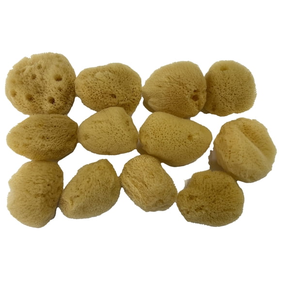 Suave natural 12 esponjas de seda de 1.5 pulgadas para maquillaje cosmético, eliminación de aplicaciones, limpieza de uñas faciales, ojos, como bolas de algodón, impresionante creación acuática, el ba