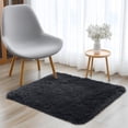thumbnail image 3 of Buganda Area Rugs for Living Room 2'X3', Soft and Fluffy Shaggy Carpet for Pets, Machine Washable Floor Rugs for Bedroom, Black, 3 of 8