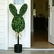 thumbnail image 2 of Árbol de Pascua con forma de conejito de boj artificial | Maceta con forma de corazón y huevos decorativos | Centro de mesa de primavera y Pascua de 75 cm para decoración del hogar, 2 of 8